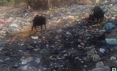 ಶೋರಾಪುರ: ಸುರಪುರದಲ್ಲಿ ಕಣ್ಮರೆಯಾದ ಸ್ವಚ್ಚತೆ, ಕಣ್ಣು ಮುಚ್ಚಿಕೊಂಡು ಕುಳಿತಿರುವ ನಗರಸಭೆ: ತ್ಯಾಜ್ಯ ಸುಡುತ್ತಿರುವವರ ಮೇಲೆ ಶಿಸ್ತು ಕ್ರಮ ಕೈಗೊಳ್ಳಿ