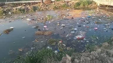 धुरी कोट चकिया के बिच में नहर में
ऐ कुंडा कबाड़ा जानवर आ कर फंस जाते है।