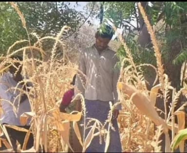 గద్వాల్: మల్లకల్ మండల కేంద్రంలోని వ్యవసాయ పొలంలో ఉరివేసుకొని రైతు ఆత్మహత్య