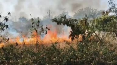 रिसोड: मेहकर मार्गावर रिसोड शहरालगत असलेल्या विद्युत वितरण विभागाच्या 133 के व्हि उपकेंद्र पावर हाऊस परिसरात भीषण आग