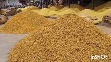 वाशिम: कृषी उत्पन्न बाजार समितीमध्ये हळद विक्री करिता आणताना 50 किलोच्या कट्ट्यामध्ये आणावे बाजार समितीची सूचना