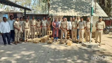 ડાંગ જિલ્લા દક્ષિણ વન વિભાગ દ્વારા પરમીટ વગરના સાગ, તેમજ ફર્નિચર બનાવવા માટેના સાધનો રાખવા બદલ ઉગા ગામાના ઇસમ