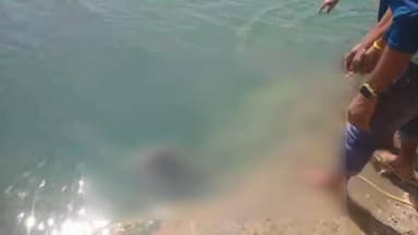 भैयाथान: होली की शाम से लापता युवक का शव मिला, पोखरी में डूबने से हुई युवक की मौत