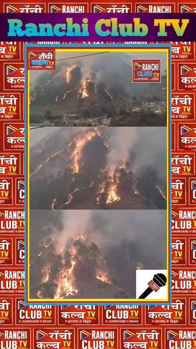 Uttarakhand Forest Fi*re | Chamoli ke Jungle me Bhishan Aag | 20 Hectare Jungle Jal Kar Khaak | Breaking News
#Uttarakh
