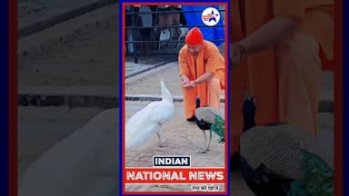 #योगी_जी जैसे मुख्यमंत्री आपने पहले कभी नहीं देखा होगा #shortsfeed #shortsviral #trendingvideo