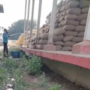 आरंग: सहकारी समिति भलेरा में धान खरीदी में गंभीर अनियमितता का मामला सामने आया