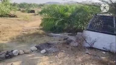 మహబూబాబాద్: చిన్నగూడూరు గ్రామంలో దారుణం,ఓ రైతుకు చెందిన పామాయిల్ పంటను ధ్వంసం చేసిన గుర్తుతెలియని వ్యక్తులు, భారీగా నష్టం