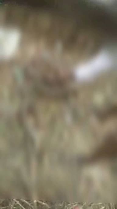 ಹಡಗಲಿ: ಬೀರಬ್ಬಿಯಲ್ಲಿ ಕ್ಷುಲ್ಲಕ ಕಾರಣಕ್ಕೆ ವ್ಯಕ್ತಿ ಕೊಲೆ, ಮೃತ ದೇಹವನ್ನು ಪ್ಲಾಸ್ಟಿಕ್ ಚೀಲದಲ್ಲಿ ತುಂಬಿ ಎಸೆದು ಎಸ್ಕೇಪ್