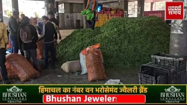 मटर की फसल सुखी की चपेट में रेट ना मिलने से किसान मायूस
हिमाचल समय - Himachal Samay Media #educationalcontent #heavysnof...