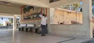 मूंडवा: मूंडवा रेलवे स्टेशन पर यात्रियों पर मधुमक्खियों ने किया हमला