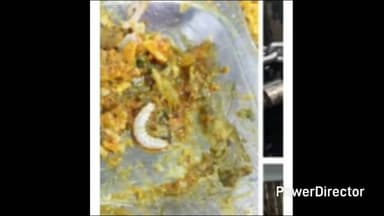 राजगढ़: मेस के खाने में कीड़े मिलने का आरोप, यूनिवर्सिटी में छात्राओं का गुस्सा भड़का; इटरनल यूनिवर्सिटी ने दिया स्पष्टीकरण