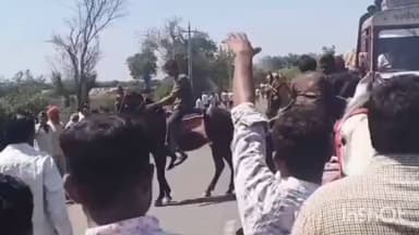 બગસરા: હાલરીયા ગામે ભવ્ય શોભાયાત્રા નું આયોજન કરવામાં આવ્યું..