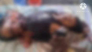 चांपा: संजय नगर के पास रेलवे ट्रैक में युवक की लाश मिली, मौके पर जुटी लोगों की भीड़, पुलिस कर रही जांच