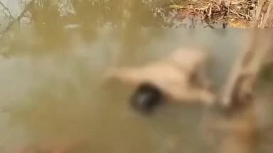 పసలపూడి వద్ద కాలువలో గుర్తుతెలియని మృతదేహం లభ్యం