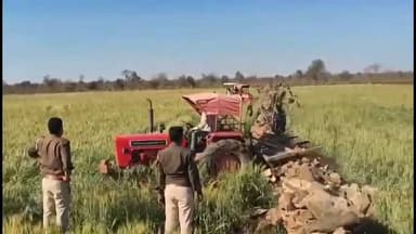 किशनगंज: वन भूमि पर अतिक्रमण के खिलाफ वन विभाग का बड़ा प्रहार, 331 बीघा भूमि कराई गई मुक्त