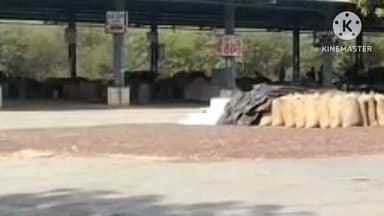 खानपुर: खानपुर कस्बे में स्थित कृषि उपज मंडी में 4250 क्विंटल सरसों की हुई बंपर आवक, भाव रहा ₹6300 प्रति क्विंटल