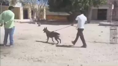 चौहटन: बाड़मेर के साता गांव में SBI बैंक में नकाबपोश बदमाशों ने ताले तोड़कर घुसकर टीवी और आरओ मशीन चुराई