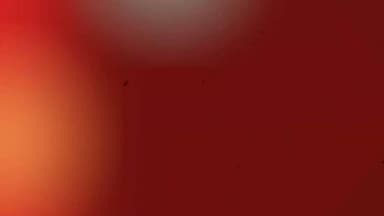 नोहर में 7 मार्च को नि:शुल्क नेत्र चिकित्सा शिविर, चयनित मरीजों के 8 मार्च को होंगे मोतियाबिंद ऑपरेशन
#Nohar #Hanumangar...