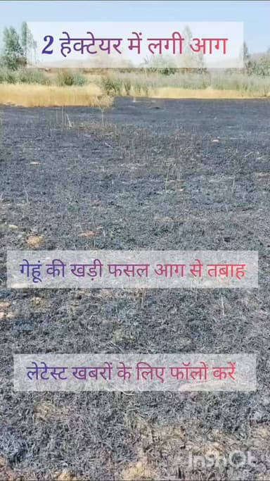 लक्कड़ जाम में गेहूं की खड़ी फसल में लगी आग...