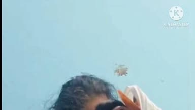 करगहर: करगहर गांव में आपसी विवाद में चार लोग घायल, पुलिस ने तीन लोगों को गिरफ्तार कर भेजा जेल