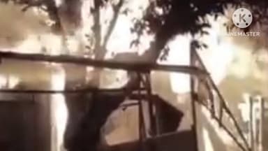 বোকাখাত: বোকাখাতৰ সাপজুৰীত ভয়ংকৰ অগ্নিকাণ্ড,অগ্নিকাণ্ডত কেইবাখনো দোকান ভষ্মীভুত