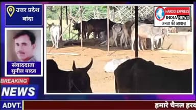 बांदा तेरा ब महुटा।मे बनी बेजुबानों की मौतशाला गौसेवक राजाराम राही ने खोली अव्यवस्थाओं की पोल,