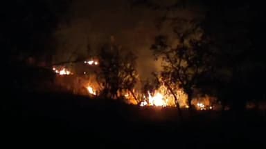 பெரியகுளம்: பெரியகுளம்தைலாராமன் மலைக்கோவிலை சுற்றி வனப்பகுதியில் சமூக விரோதிகளால் வைக்கப்பட்ட தீயால் 50 ஏக்கர் வனம் காட்டு தீ