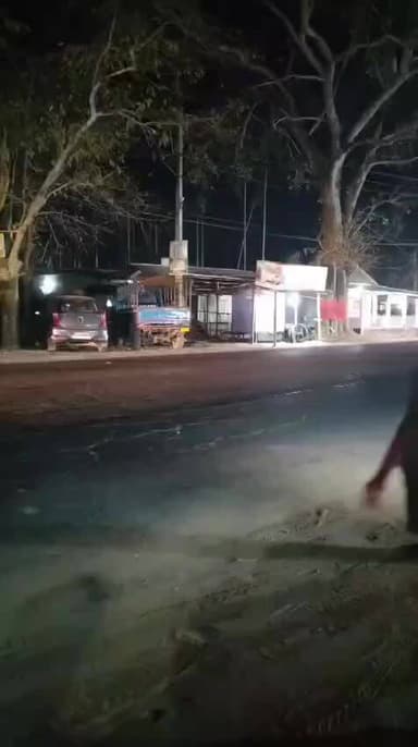 পলাশবাৰী: নিশা পলাশবাৰী সমষ্টিত বনৰীয়া হাতীৰ মূক্ত বিচৰণ