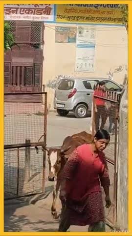 #news #avimukteshwaranand शंकराचार्य जी की कृपा से मासूम मिल गई -जय गौ माता की #धर्मयुद्ध #shorts