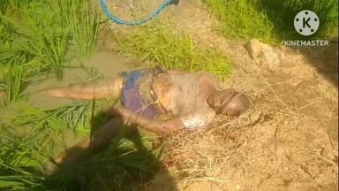 నిజామాబాద్ సౌత్: ముత్తకుంట లో తాటిచెట్టుపై నుంచి పడి కల్లుగీత కార్మికుడు మృతి