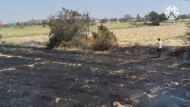 बड़ौद: शॉर्ट सर्किट से किसान के खेत में आग, तीन बीघा गेहूं जलकर राख, फायर ब्रिगेड ने पाया काबू