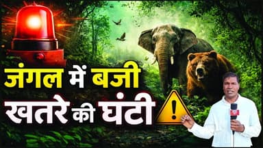 जंगल में बजी खतरे की घंटी | Dhamtari | SA News Chhattisgarh
#sanewschhattisgarh #chhattisgarh #dhamtari #forest #news