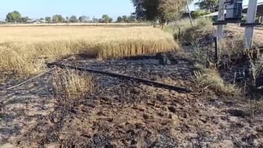 रेवदर: रेवदर के मंडार मोरवाड़ा गांव के कृषि कुएं पर खड़ी गेहूं की फसल में अचानक लगी भीषण आग, किसान को हुआ भारी नुकसान