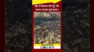 खेत में किसान की फसल जलकर हुई खाक ! #latestnews #khabartamariindia