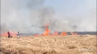 आलोट: भूतिया में खेत में खड़ी गेहूं की फसल में लगी भीषण आग, ग्रामीणों और फायर ब्रिगेड ने पाया काबू