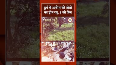 दुर्ग में अफीम की खेती का ड्रोन व्यू, 3 को जेल #chhattisgarh #news #chhattisgarhsamachar