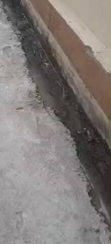 Ward No.58,
Suyal Colony Gali no.3,
सरकारी नाली में अतिक्रमण करके कुछ लोग बीमारियों को दे रहे दावात @नगरनिगमहल्द्वानी