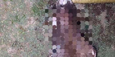 बल्देवगढ़: केलपुरा में मिला बछड़े का कटा सिर, मौके पर पहुंची पुलिस और बजरंग दल