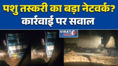 रीवा: सिमरिया में पशु तस्करी का बड़ा नेटवर्क? रात में निकल रहीं गाड़ियां, पुलिस पर उठे सवाल #RewaNews
#Simariya
#PashuTa...