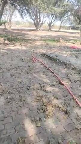 gram Aadampur
gilla shamli@