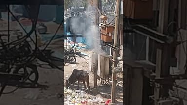 बीना, नरसिंघ मंदिर रोड लाल गेट के बगल में लगी बिजली की डी पी में धुंआ निकल रहा है...#binatvnews