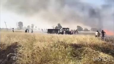 आष्टा: शॉर्ट सर्किट से दो गांवों में गेहूं की फसल जली, किसानों का कहना है कि फायर ब्रिगेड 1 घंटे बाद पहुंची