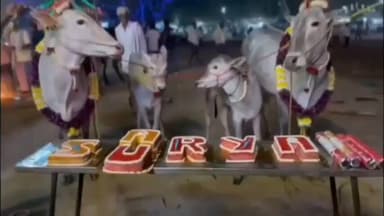 ಶ್ರೀರಂಗಪಟ್ಟಣ: ಪಟ್ಟಣದಲ್ಲಿ ಹಳ್ಳಿಕಾರ್ ತಳಿಯ ಕರುಗಳಿಗೆ ನಾಮಕರಣ ಶಾಸ್ತ್ರ