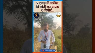 5 एकड़ में अफीम की खेती का ग्राउंड 0 रिपोर्ट.. #news #ख़बर1इंडिया #latestnews #chhattisgarhsamachar