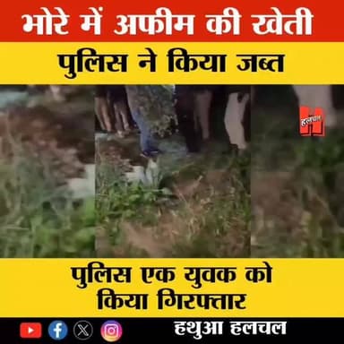 📍गोपालगंज के भोरे में अफीम की फसल को पुलिस ने किया नष्ट 🙄🙄🙄🙄🙄
#gopalganj #bignews #news #bigupdate #newsupdate