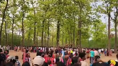 ବାରିପଦା ସଦର: ଡୁକୁରା ଶାଳ ଜଙ୍ଗଲରେ ଥିବା ଜାହିରା ପିଠରେ ଆଦିବାସୀ ସଂପ୍ରଦାୟ ପକ୍ଷରୁ ବାହାବଙ୍ଗା ପର୍ବ ଅନୁଷ୍ଠିତ; ବାରିପଦା ବିଧାୟକଙ୍କ ଯୋଗଦାନ