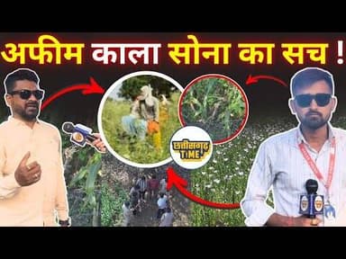 अफीम काला सोना का सच! #latestnews #ndpsact #durg #documentary