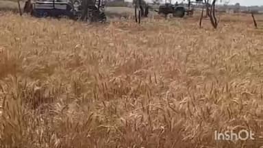 बमोरी: मरावदा हनुमतपुरा गांव में शॉर्ट सर्किट से आग, किसान को हुआ भारी नुकसान