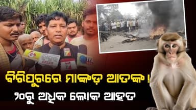 ବିରିପୁରରେ ମାଙ୍କଡ଼ ଉପଦ୍ରବ:୨୦ରୁ ଅଧିକ ଲୋକ ଆହତ