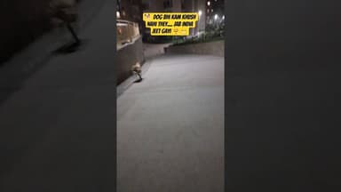 Happy India 🇮🇳 #T20WorldCup #india #indvsnz